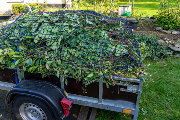 Professional Junk Removal Services in Concord, AL